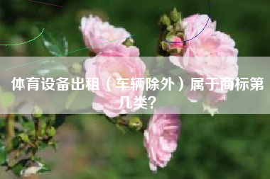 体育设备出租（车辆除外）属于商标第几类？
