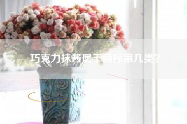 巧克力抹酱属于商标第几类？