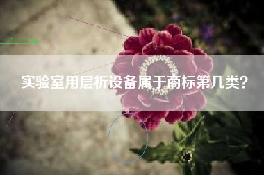 实验室用层析设备属于商标第几类？