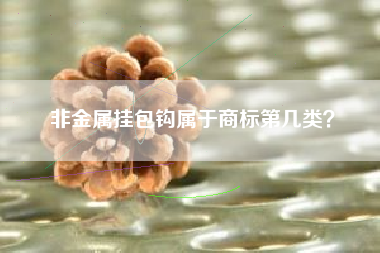非金属挂包钩属于商标第几类？
