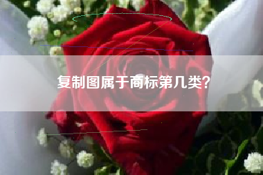 复制图属于商标第几类？