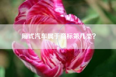 厢式汽车属于商标第几类？
