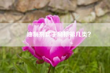 焗油制剂属于商标第几类？