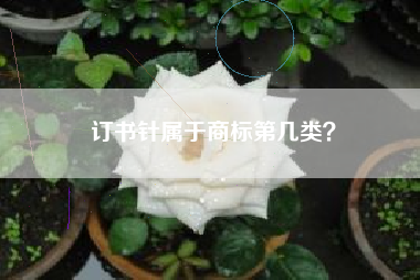 订书针属于商标第几类？