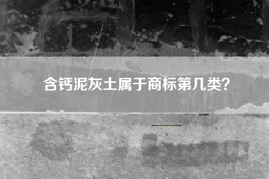 含钙泥灰土属于商标第几类？