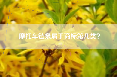 摩托车链条属于商标第几类？