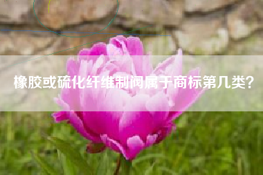 橡胶或硫化纤维制阀属于商标第几类？