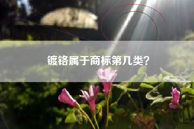 镀铬属于商标第几类？