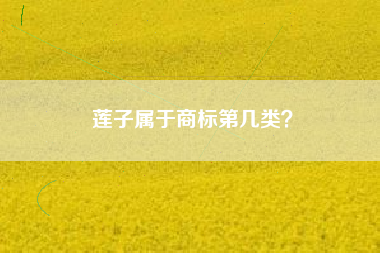 莲子属于商标第几类？