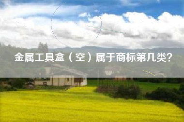 金属工具盒（空）属于商标第几类？