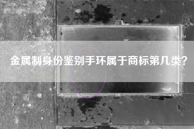 金属制身份鉴别手环属于商标第几类？
