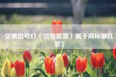 交通信号灯（信号装置）属于商标第几类？