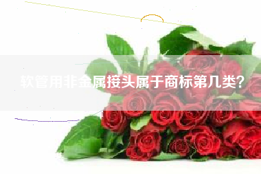 软管用非金属接头属于商标第几类？