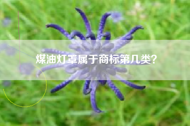煤油灯罩属于商标第几类？