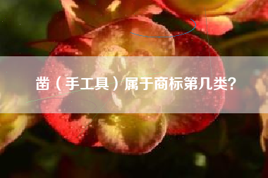 凿（手工具）属于商标第几类？