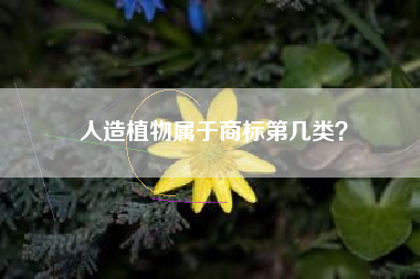 人造植物属于商标第几类？