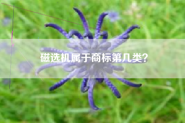 磁选机属于商标第几类？