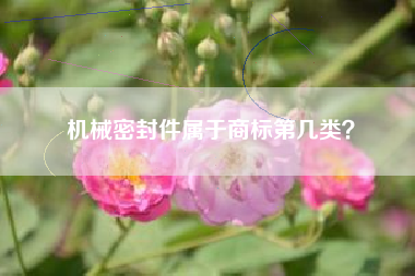机械密封件属于商标第几类？