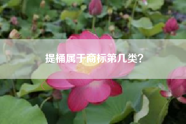 提桶属于商标第几类？