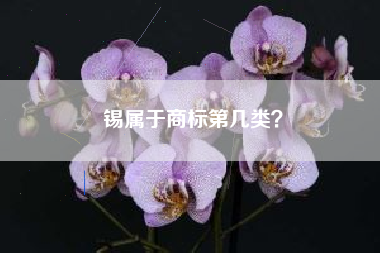 锡属于商标第几类？