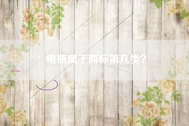 电瓶属于商标第几类？