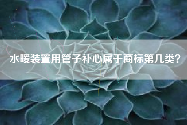 水暖装置用管子补心属于商标第几类？