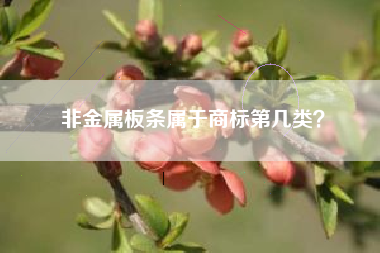 非金属板条属于商标第几类？