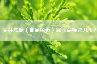 麦芽焦糖（食品色素）属于商标第几类？