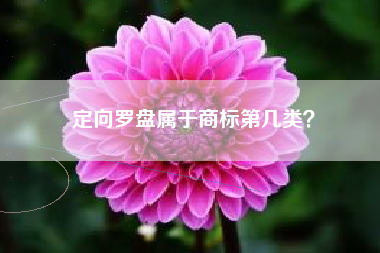 定向罗盘属于商标第几类？