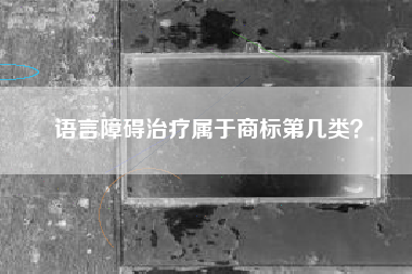 语言障碍治疗属于商标第几类？