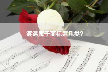 镀锡属于商标第几类？