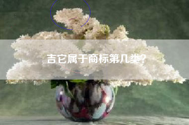 吉它属于商标第几类？
