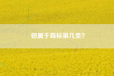 钳属于商标第几类？