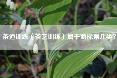 茶道训练（茶艺训练）属于商标第几类？