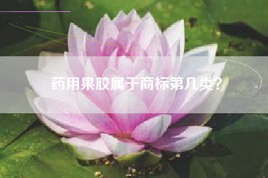 药用果胶属于商标第几类？
