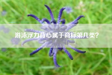游泳浮力背心属于商标第几类？