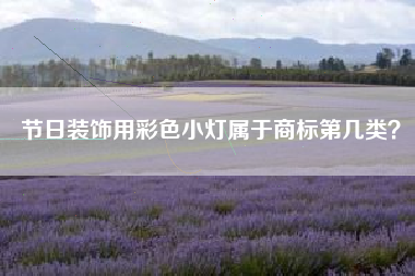 节日装饰用彩色小灯属于商标第几类？