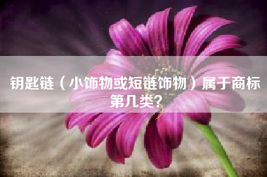 钥匙链（小饰物或短链饰物）属于商标第几类？