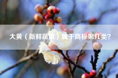 大黄（新鲜蔬菜）属于商标第几类？