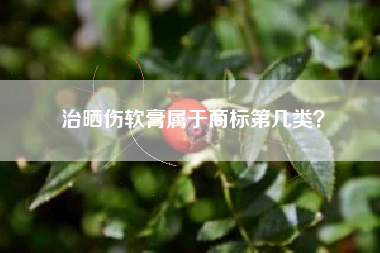 治晒伤软膏属于商标第几类？