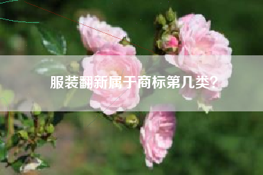 服装翻新属于商标第几类？