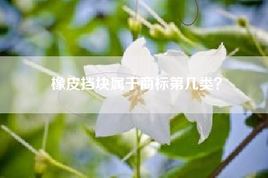 橡皮挡块属于商标第几类？