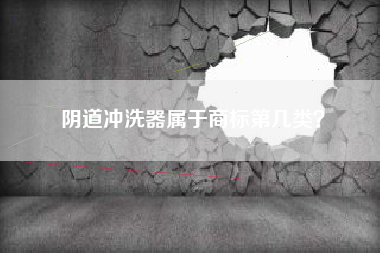 阴道冲洗器属于商标第几类？