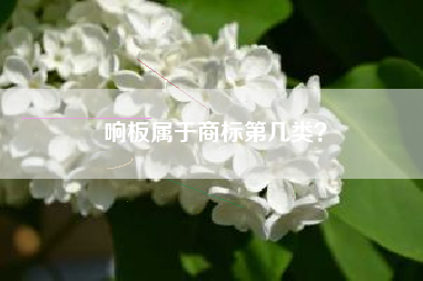 响板属于商标第几类？