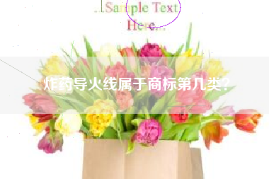 炸药导火线属于商标第几类？