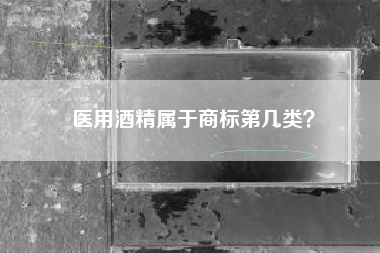 医用酒精属于商标第几类？