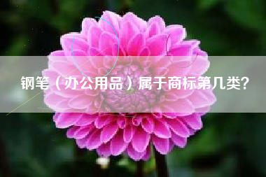 钢笔（办公用品）属于商标第几类？