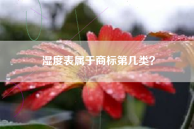 湿度表属于商标第几类？