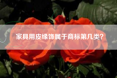 家具用皮缘饰属于商标第几类？