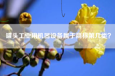 罐头工业用机器设备属于商标第几类？